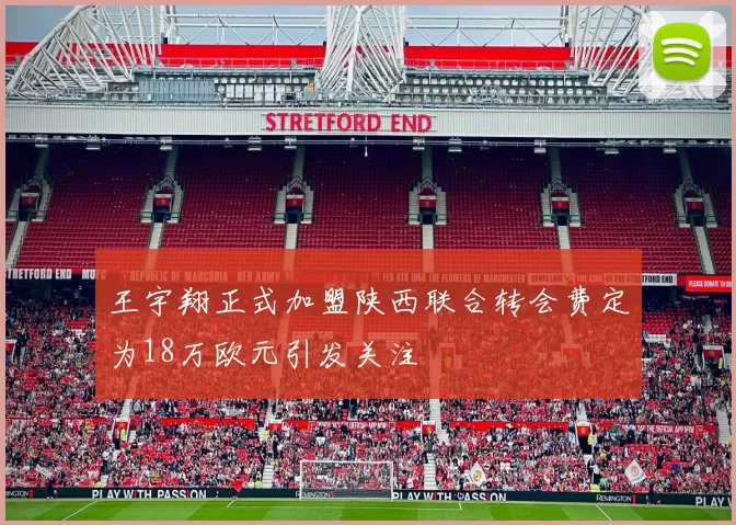 王宇翔正式加盟陕西联合转会费定为18万欧元引发关注
